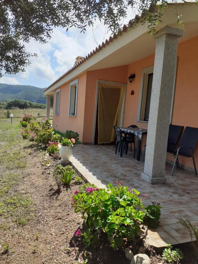 Agriturismo Gli Olivastri -Appartamento Bel Vedere Con Piscina ,Solarium E Vista Mare,Climatizzatore ,Wifi Aglientu Kültér fotó
