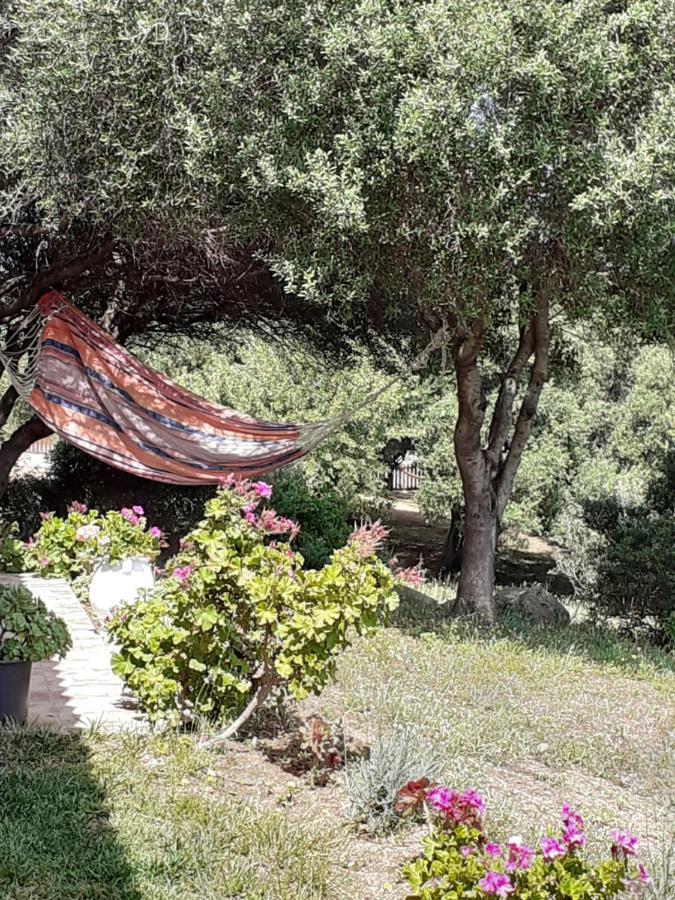 Agriturismo Gli Olivastri -Appartamento Bel Vedere Con Piscina ,Solarium E Vista Mare,Climatizzatore ,Wifi Aglientu Kültér fotó