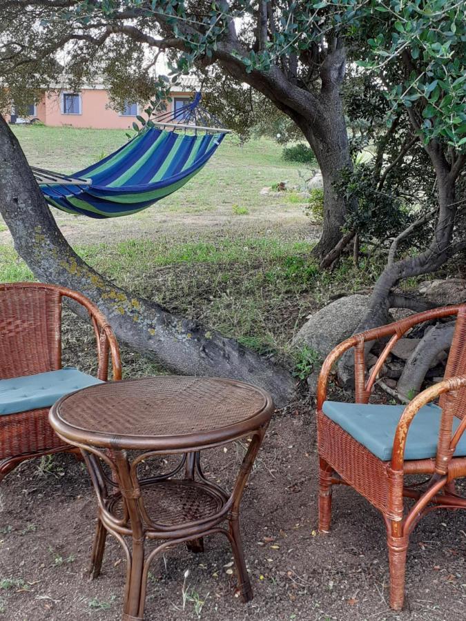 Agriturismo Gli Olivastri -Appartamento Bel Vedere Con Piscina ,Solarium E Vista Mare,Climatizzatore ,Wifi Aglientu Kültér fotó